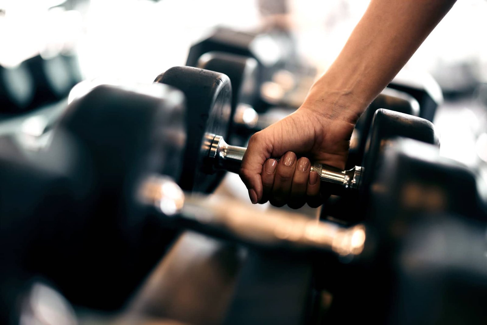 Close-up of free weights in the fitness center